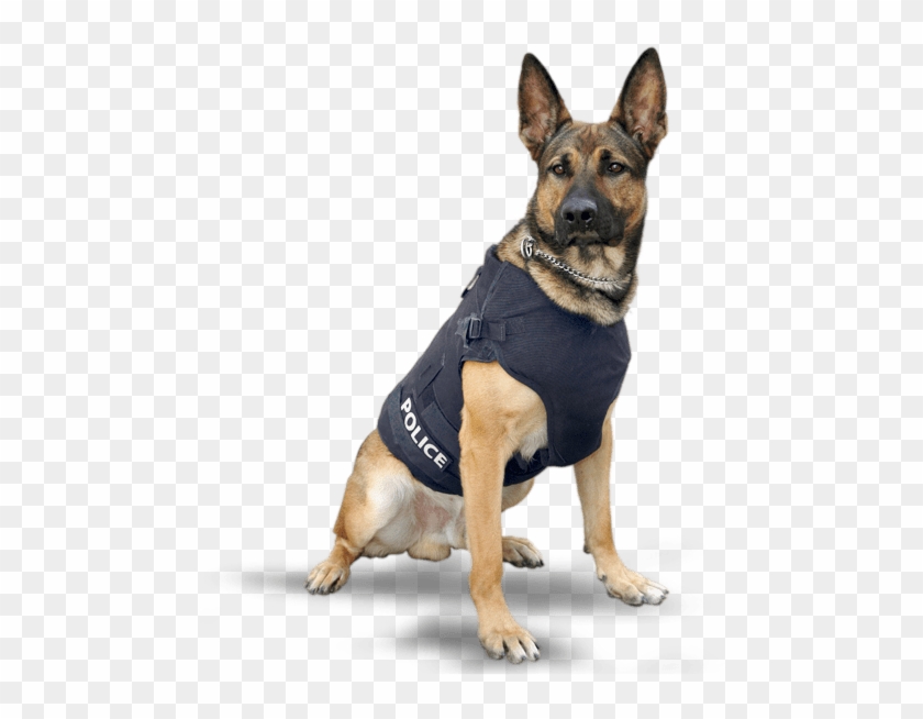 Police Dog Png Clipart