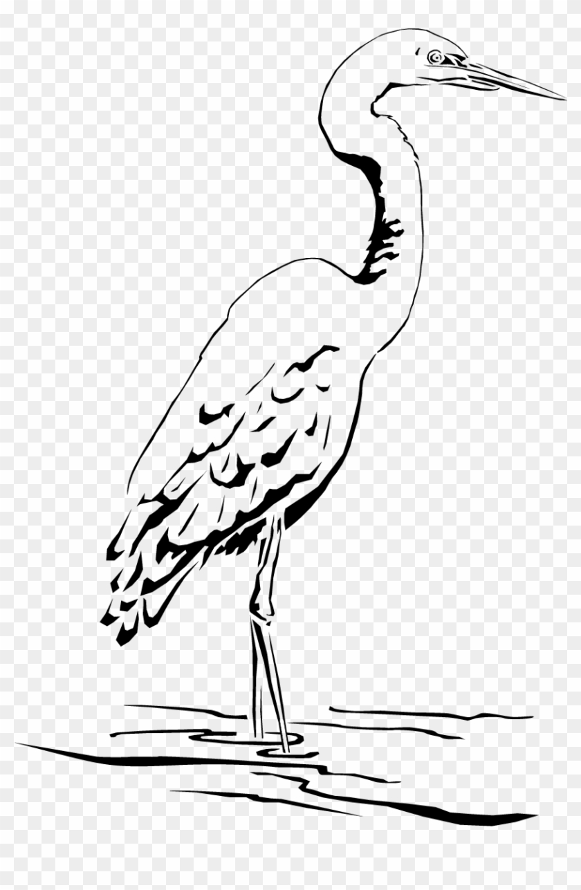Great Blue Heron Clipart #3692249