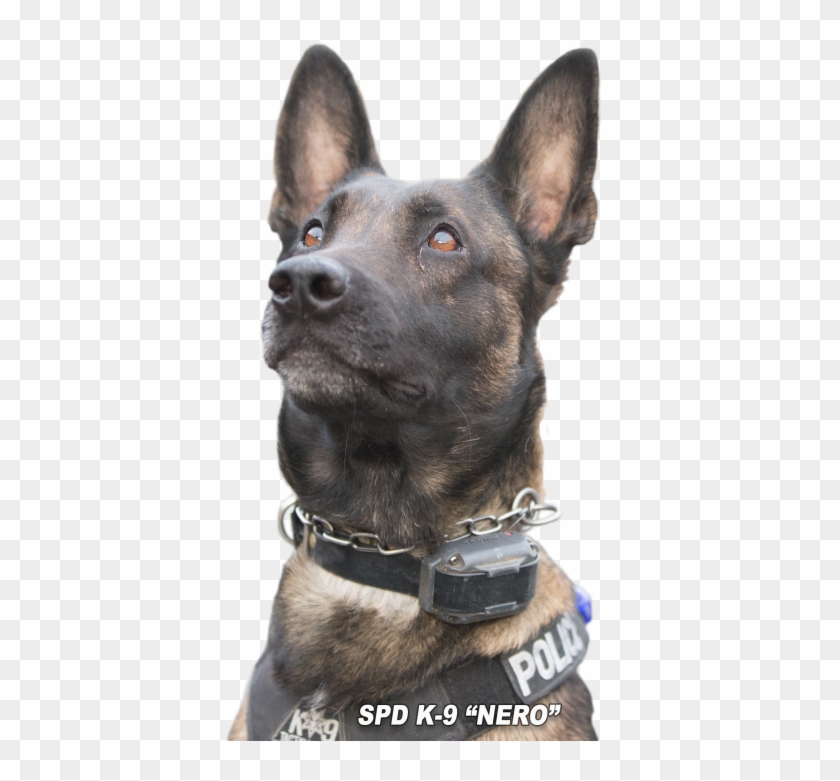 Police K9 Copy - Dog Catches Something Clipart