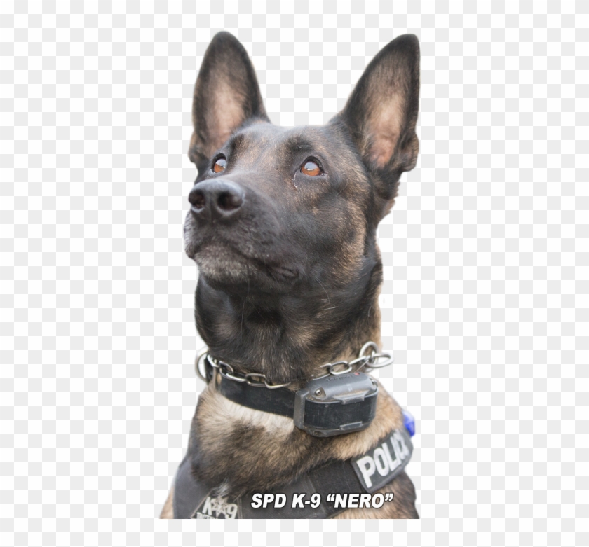 Police K9 Copy - Dog Catches Something Clipart #3692414