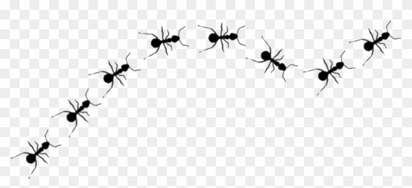 Dibujos De Una Hilera Clipart