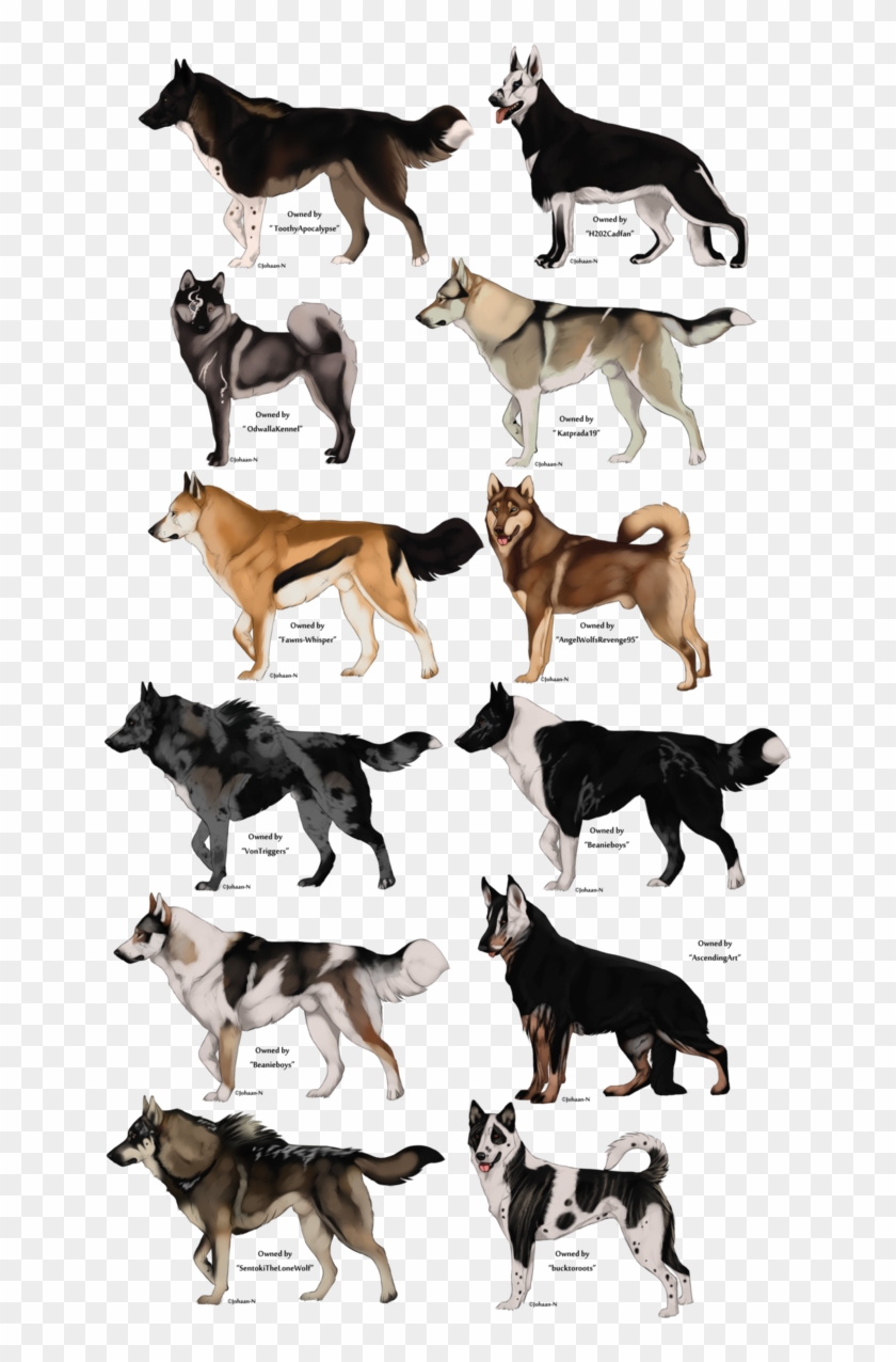 Prehistoric Drawing Wolf - Realistic Anime Dog Drawing Clipart