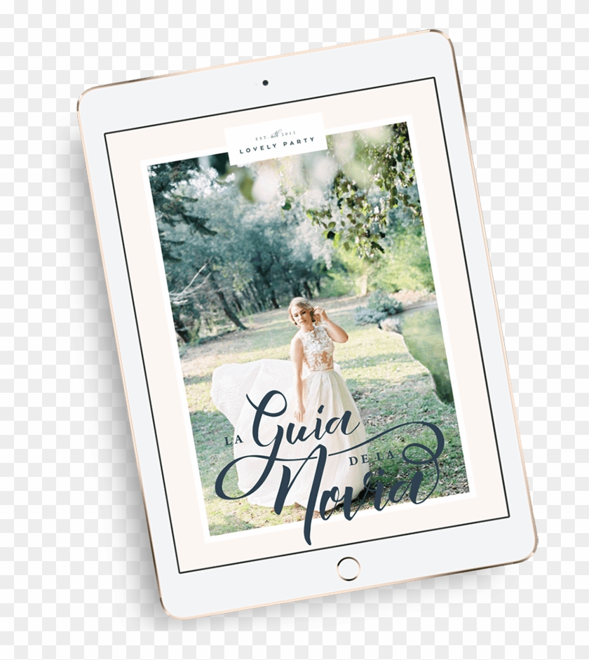 En Vuestra Boda Estaréis Tan Llenos De Ilusión Que - Proboscis Monkey Clipart