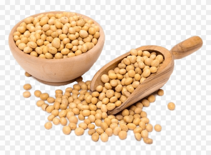 Food - Soy Png Clipart