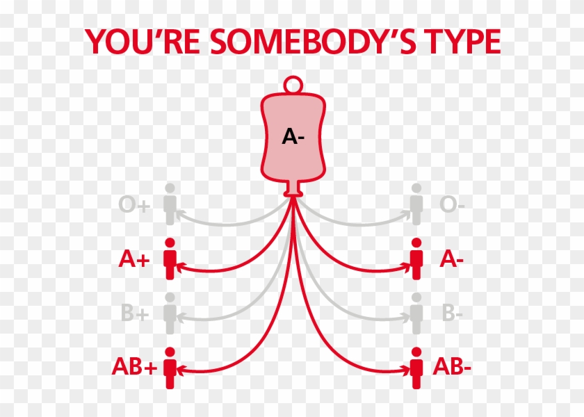 What Blood Can A Negative People Receive - B Negative Blood Clipart