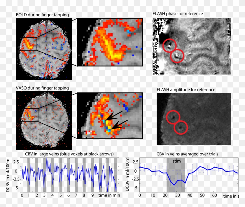 Circle Clipart #3693984