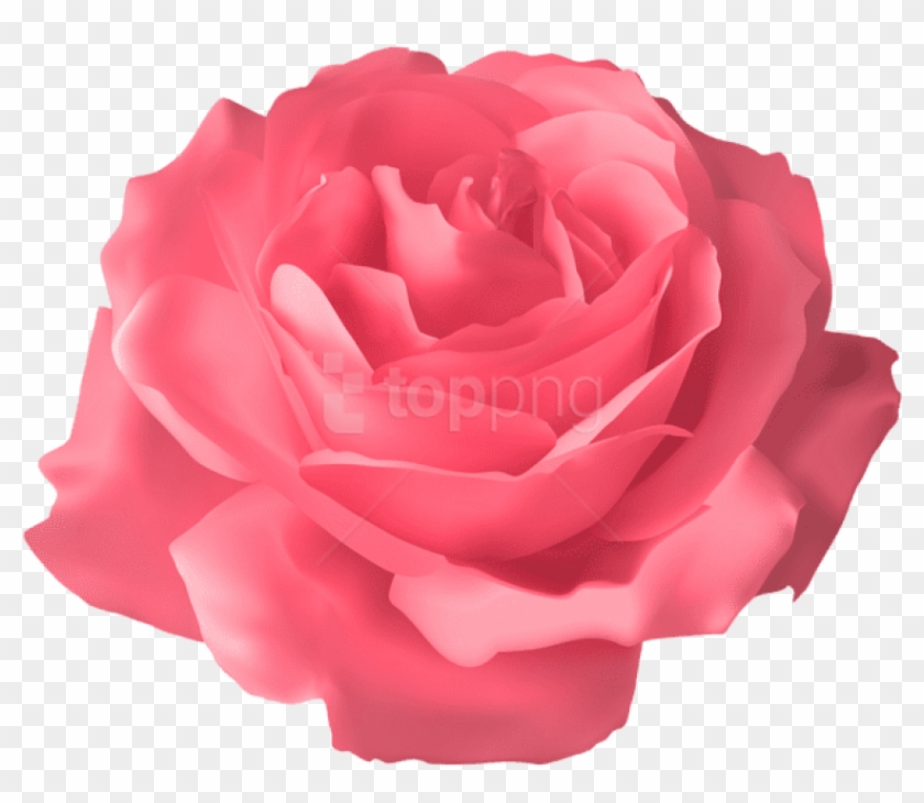Free Png Download Soft Pink Rose Transparent Png Images - Blue Flower Png Transparent Clipart