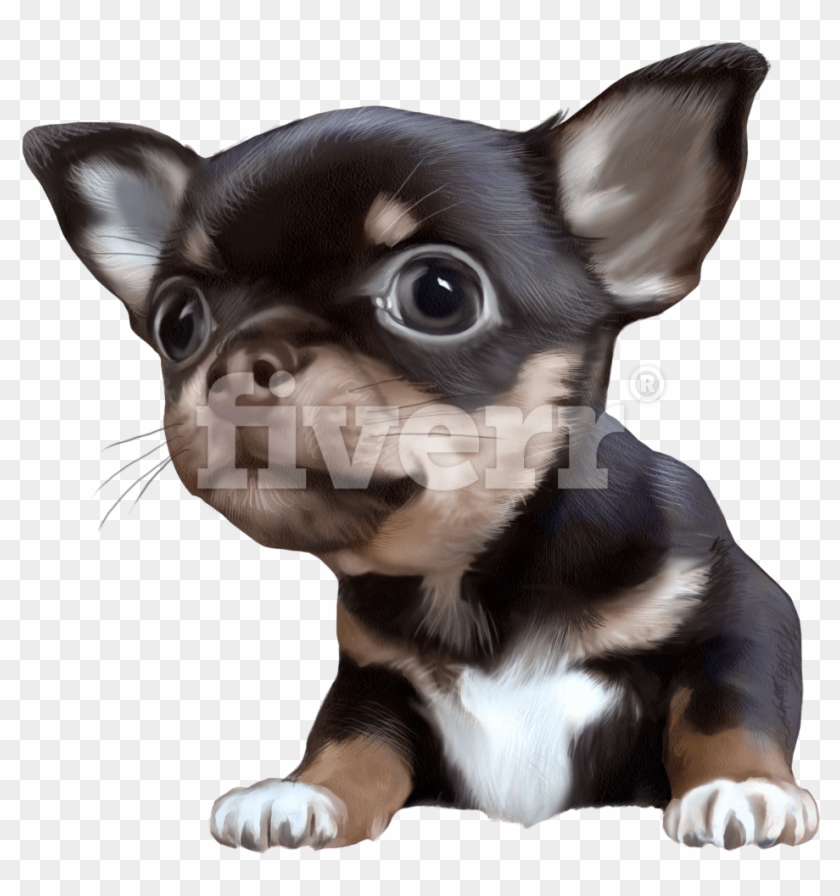 Chihuahua Clipart