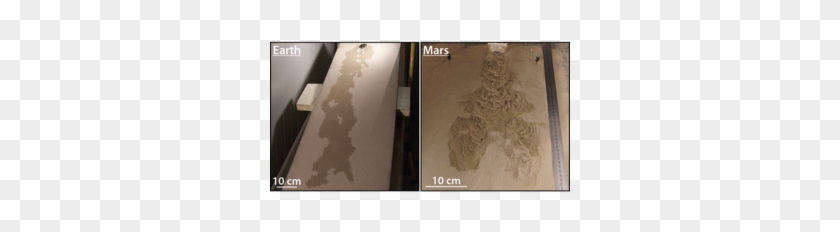 Courtesy Of M - Plywood Clipart