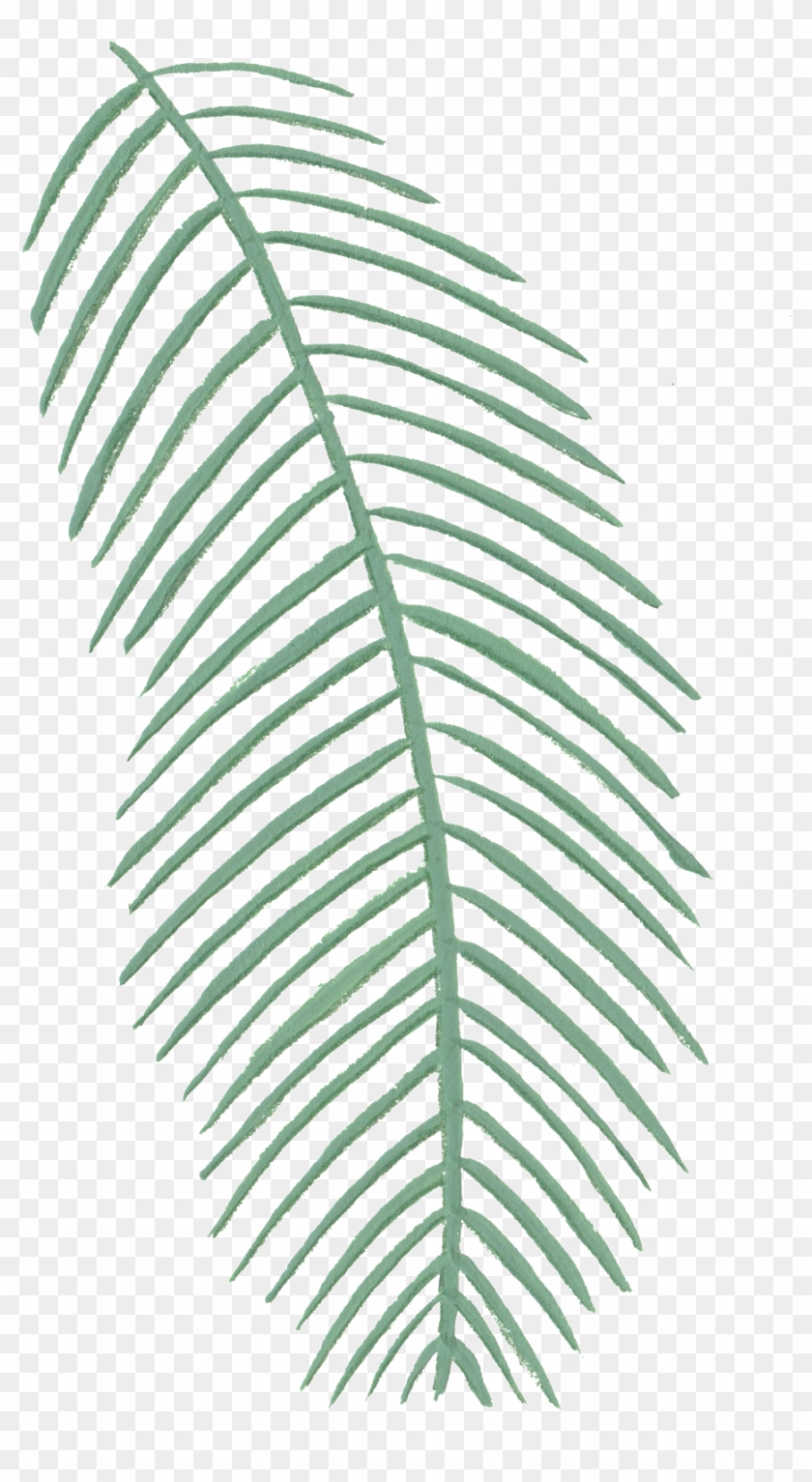Creative Coconut Leaf Design Decoration Vector - Circle Clipart #3696907