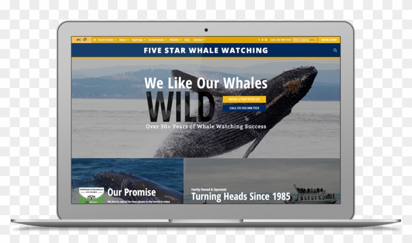 Macbook Mockup Web Victoria Design Foe Creative - Ocean Clipart #3697329