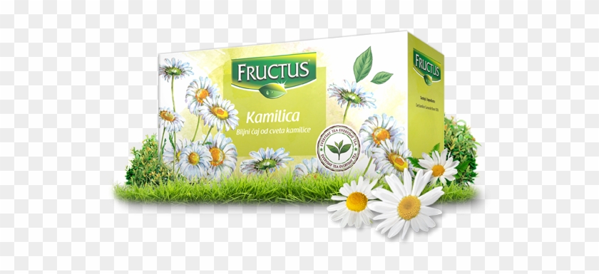 Everyday - Chamaemelum Nobile Clipart #3697686