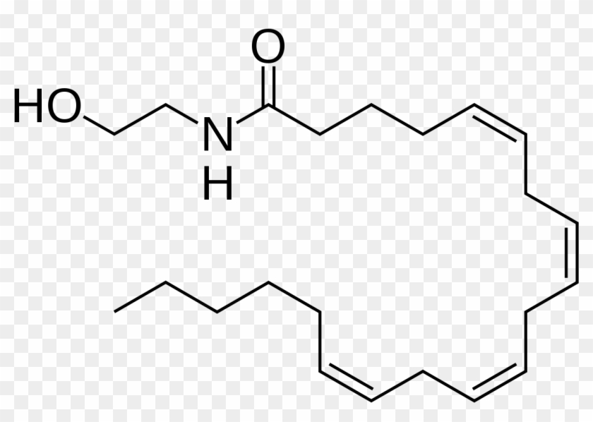 Endocannabinoids - Anandamide Molecule Clipart #3697967