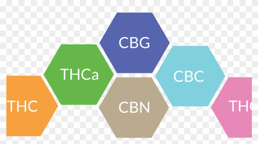 Hemp Edification - Design Thinking Process Stanford Clipart