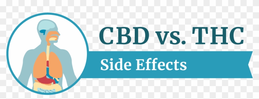 Cbd Vs Thc - Graphic Design Clipart #3698310