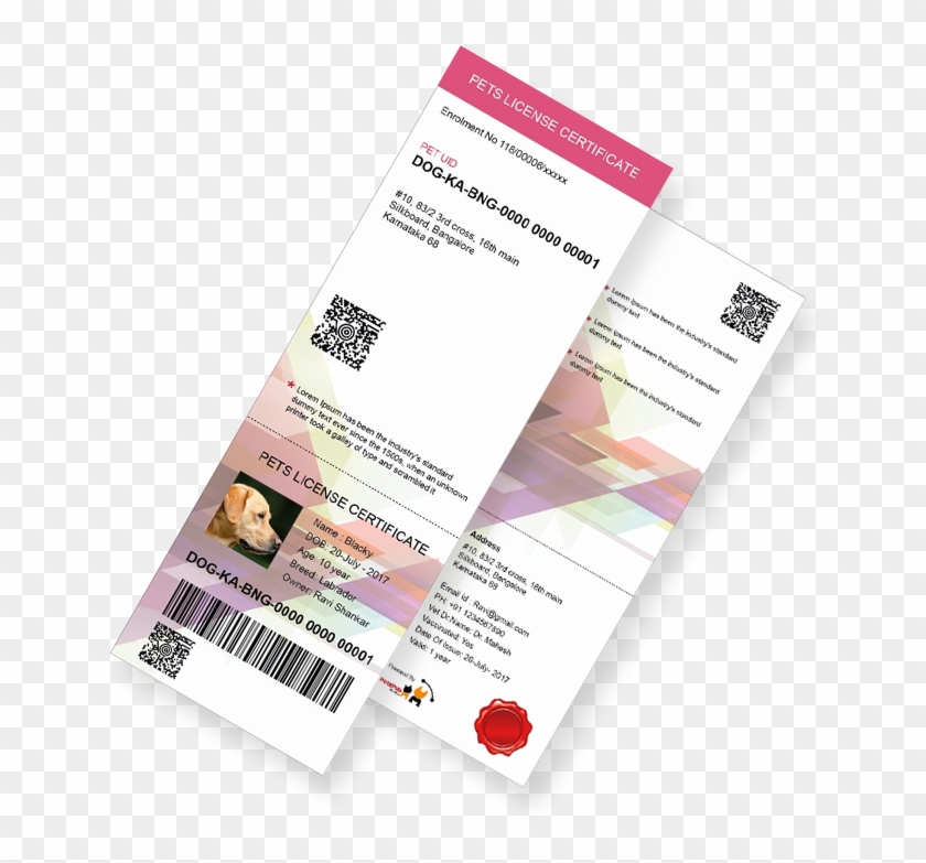 Pet License - Flyer Clipart