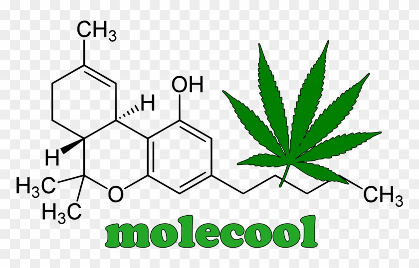 Infrared Spectrum Of Tetrahydrocannabinol Clipart