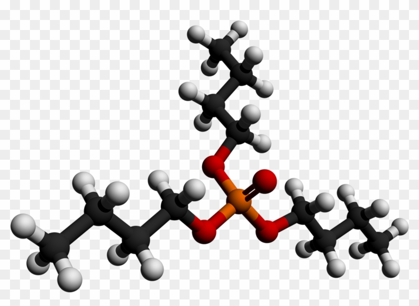 Illustration Clipart #3698604