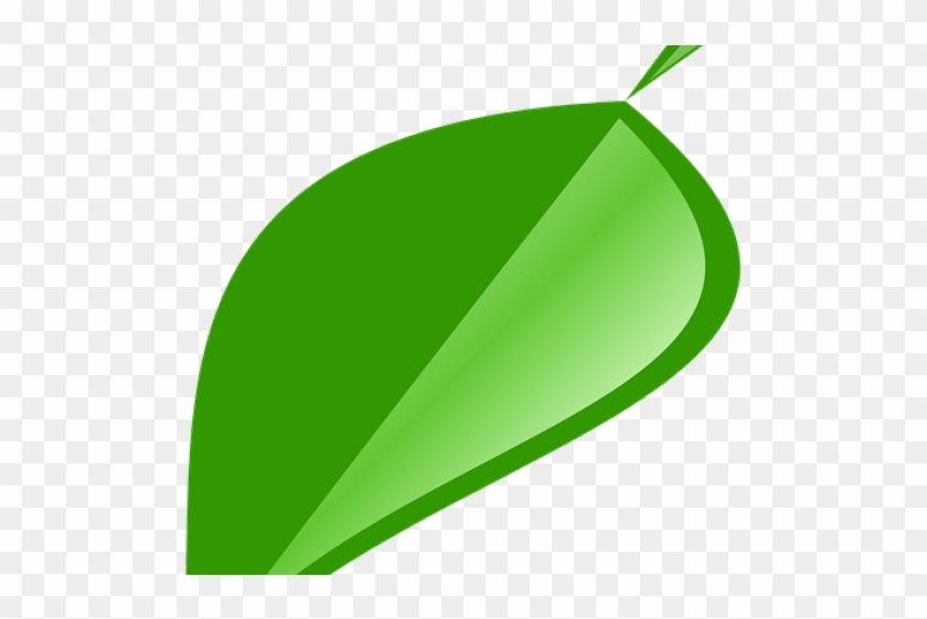 Green Leaves Clipart Single Green Leave - Illustration - Png Download
