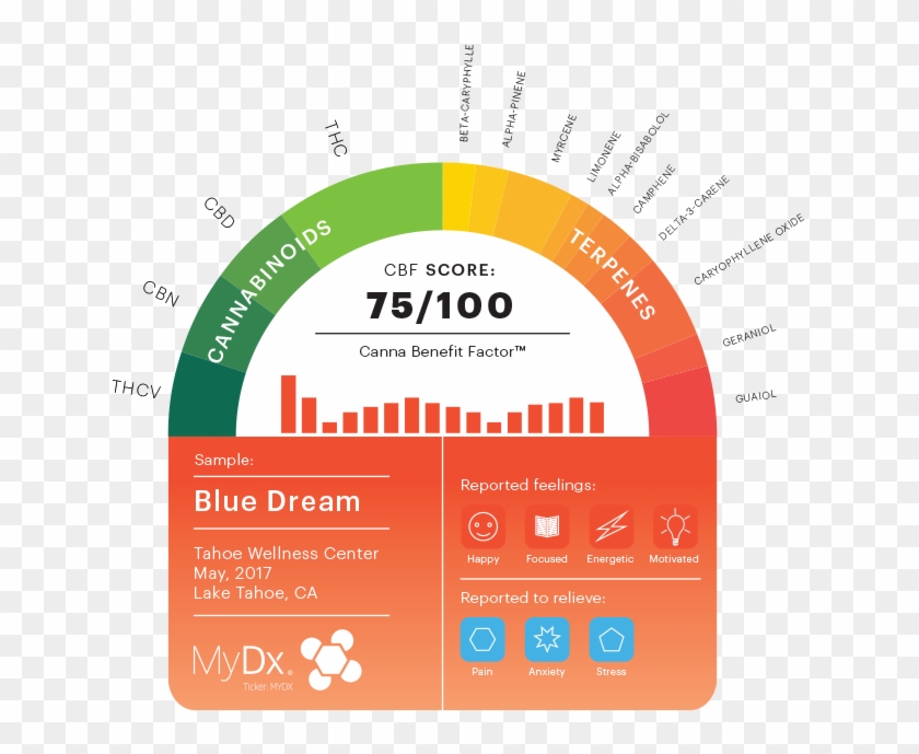 How A Chemical Profile Makes You Feel And What It Helps - Cannabis Chemical Profile Clipart