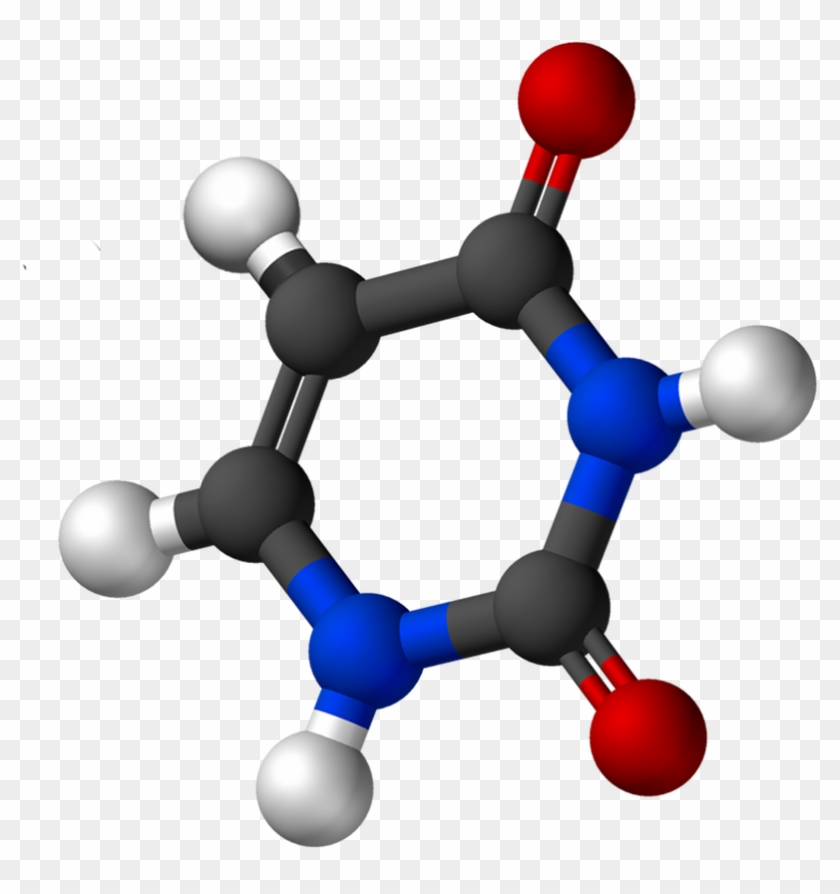 Report Clipart Scattered Papers - Uracil 3d Model - Png Download