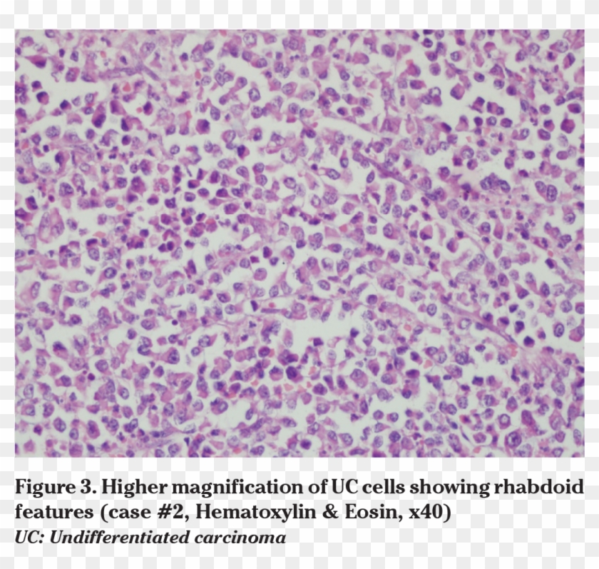 Images - Lavender Clipart