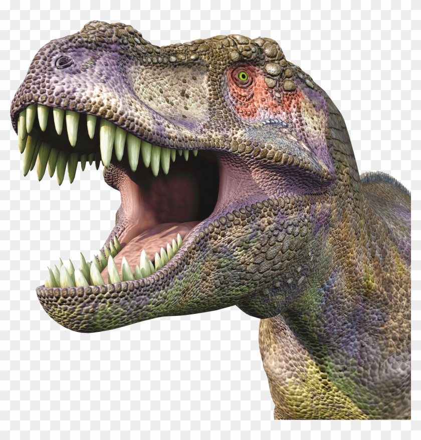 Dinosaur Head Png - Professores E Professauros Pdf Clipart