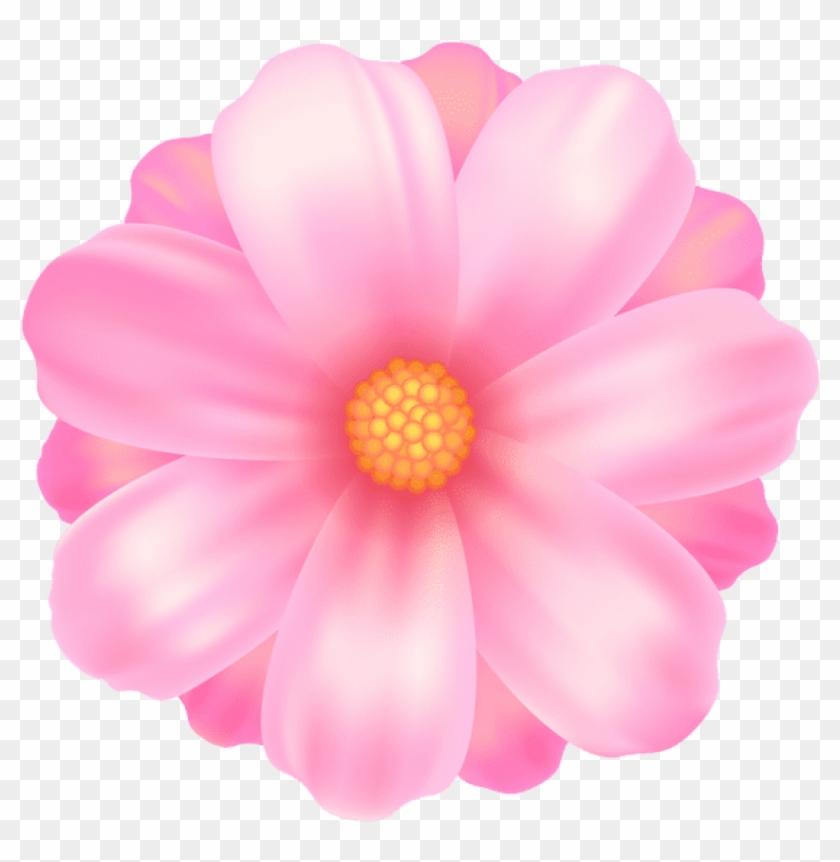 Flower Transparent Png - Flor Color Rosa Dibujo Clipart #371547