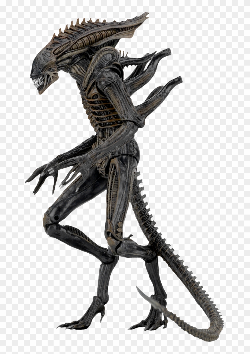 Aliens - Defiance - Ali - - Neca Alien Series 11 , Clipart