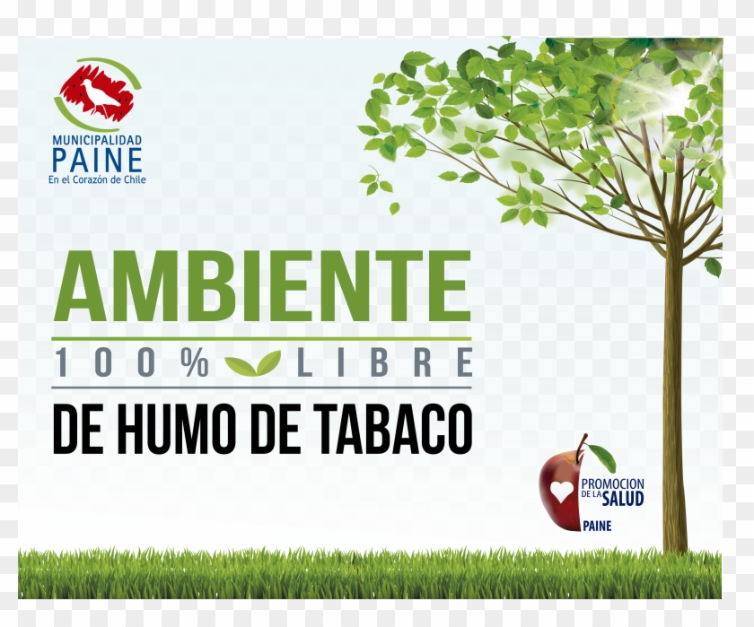 Ambientes Libres Del Humo Del Tabaco Clipart