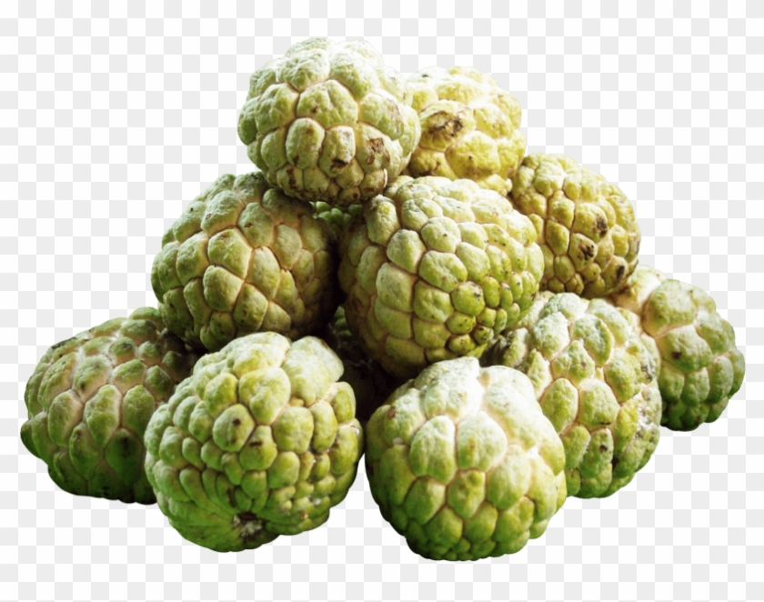 Free Png Download Custard Apples Png Images Background - Custard Apple Fruit Png Clipart #372469
