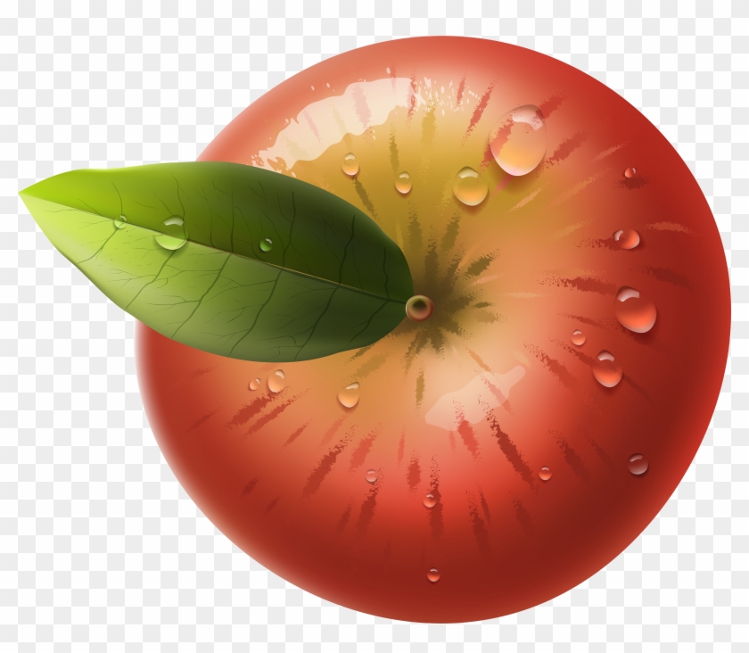 Vector Freeuse Download Apple Png Clip Art Image Gallery - Apple From Top Png Transparent Png #372677