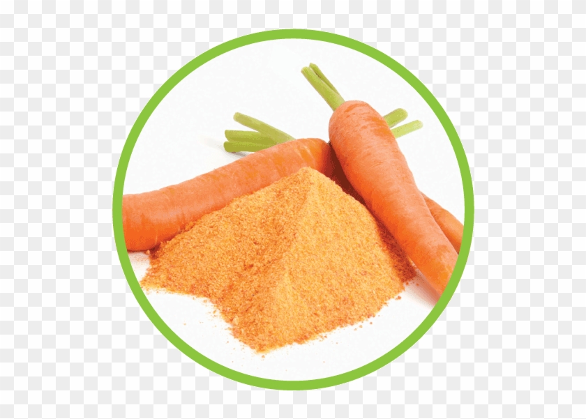 Carrot Md Circle Carrot Powder Circle - Bột Cà Rốt Clipart #373029