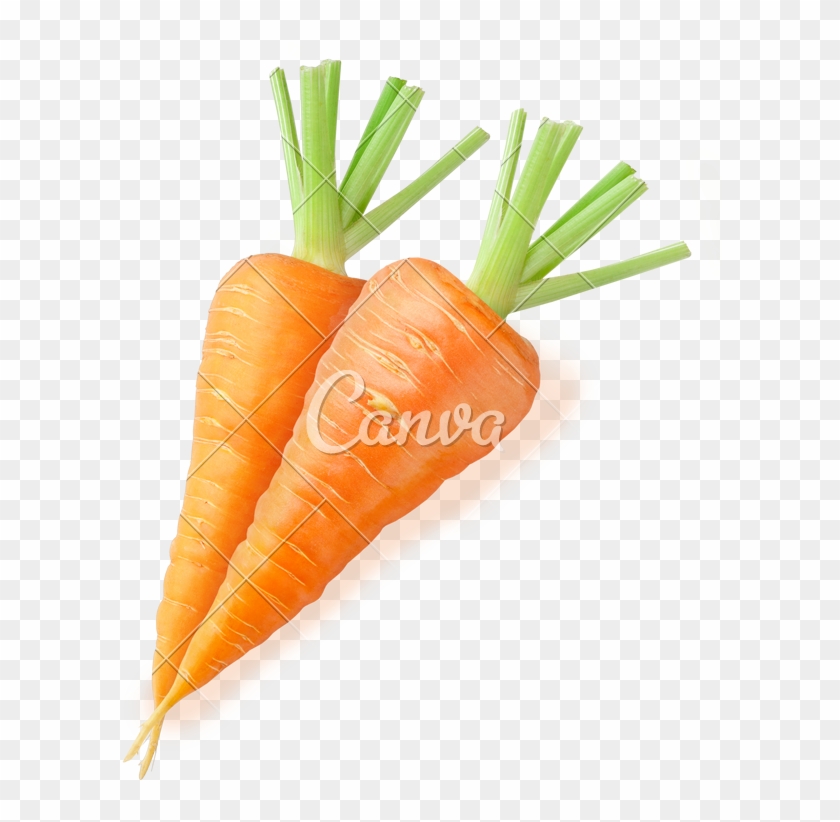 638 X 800 6 - Canva Clipart