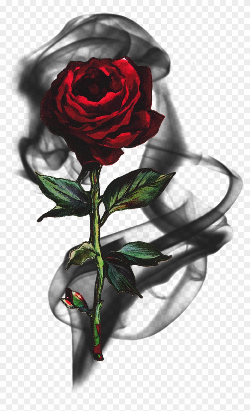 Report Abuse - Aspect Dr Clipart