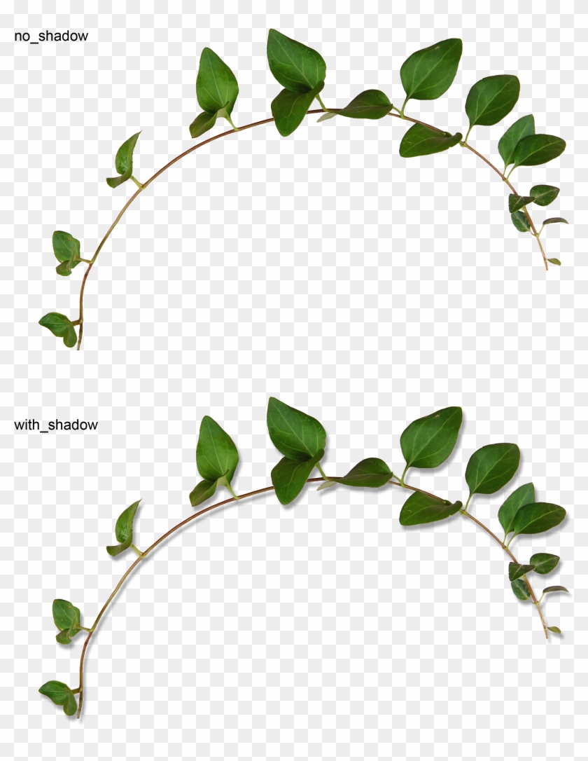 Abf A Be F Orig Flora - Garden Roses Clipart #373727