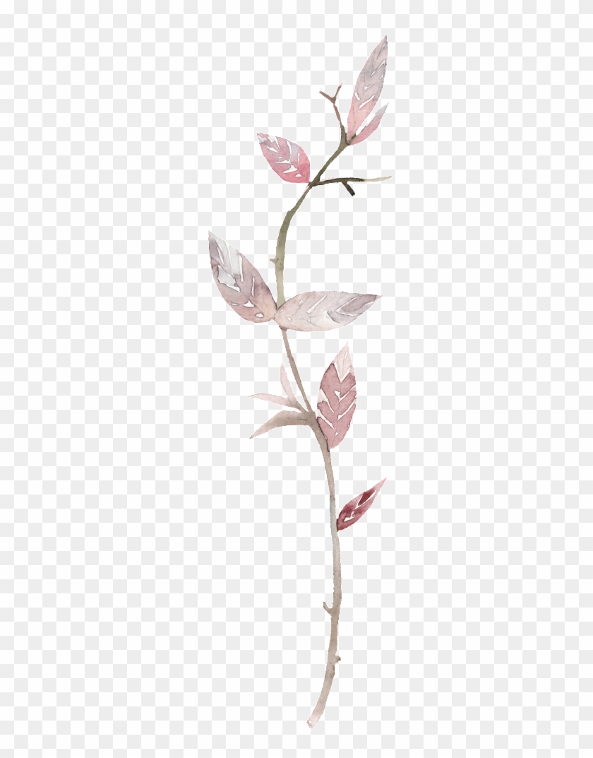 Creative Leaves Ink Painting Transparent Watercolor - Twig Clipart #374235