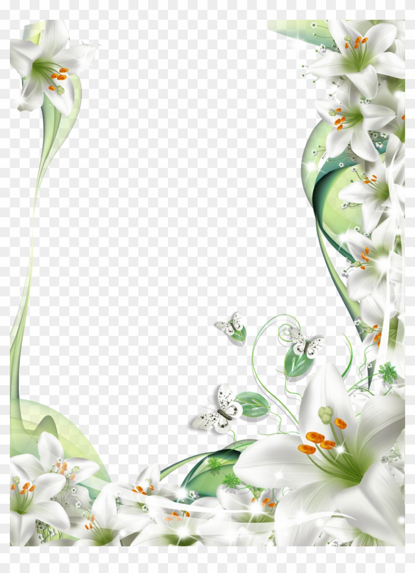 Jasmine Flower Frame Png - White Lily Flower Frame Clipart #375182