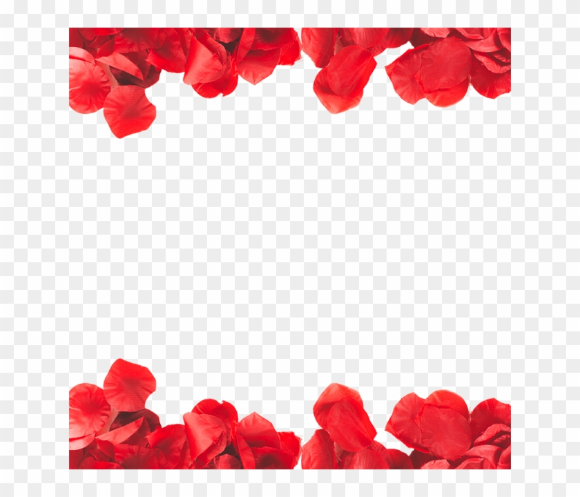 Jpg Royalty Free Stock Frame Png And Psd Rose Petal - Transparent Rose Petals Frame Clipart #375290