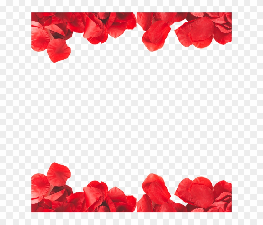 Jpg Royalty Free Stock Frame Png And Psd Rose Petal - Transparent Rose Petals Frame Clipart #375290