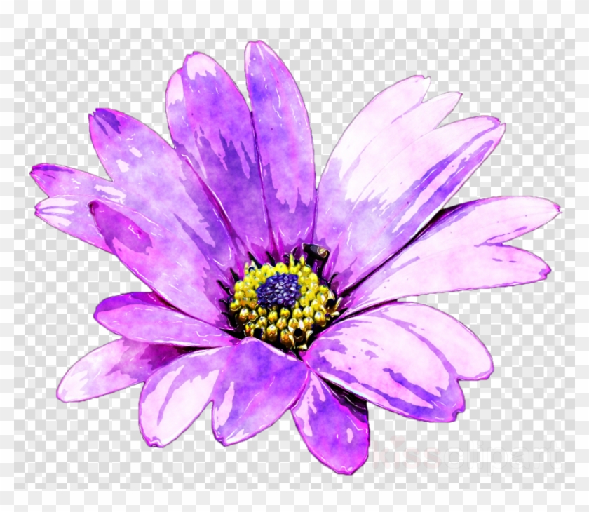 Purple Flower Painting Clipart Common Daisy Watercolor - Png Download #376069