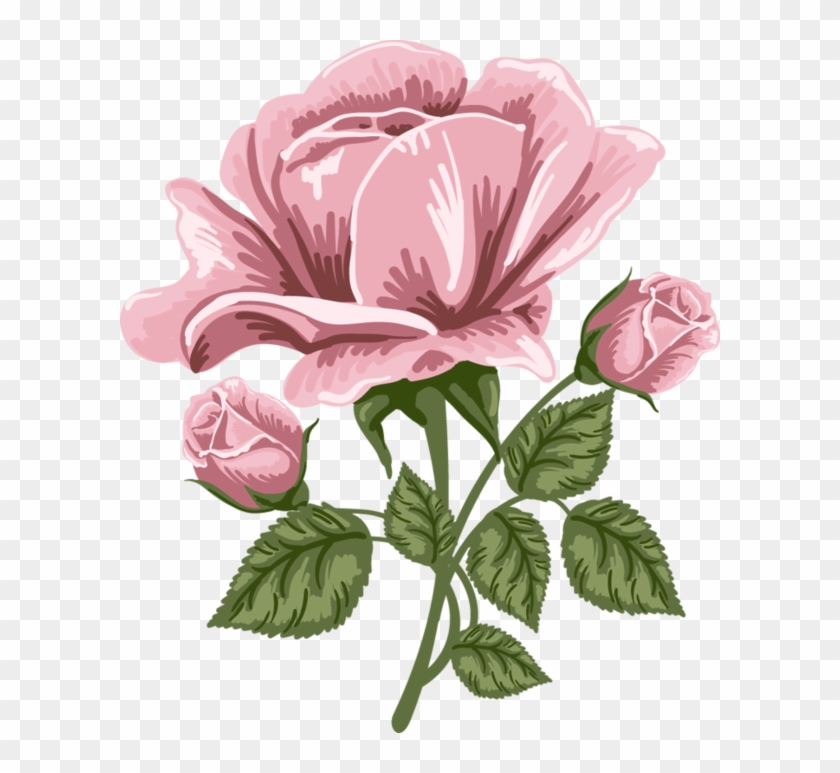 Pink Rose Art Png Picture - Pink Rose Art Png Clipart