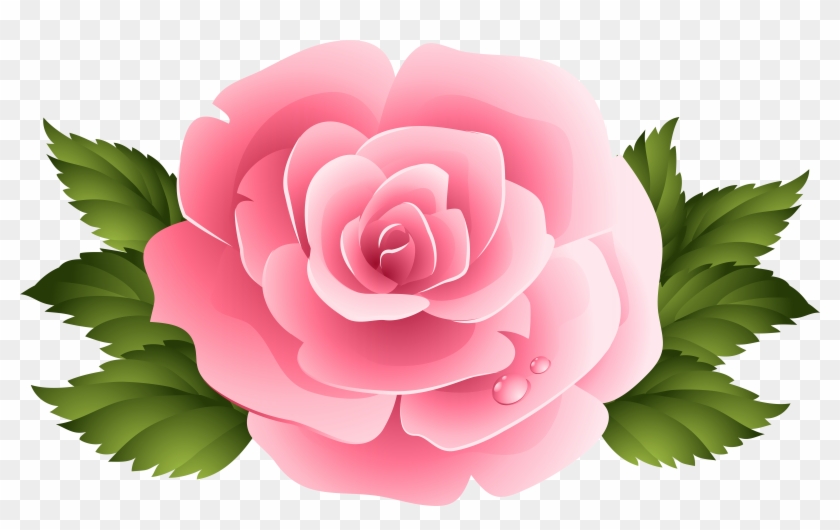 Pink Rose Clipart Pinc - Rose Clip Art Png Transparent Png #376730