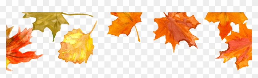 Fall Leaves - Fall November Png Clipart #376766