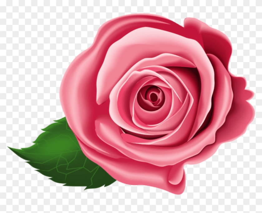 Free Png Download Rose Png Images Background Png Images - Pink Transparent Clipart Roses #377128