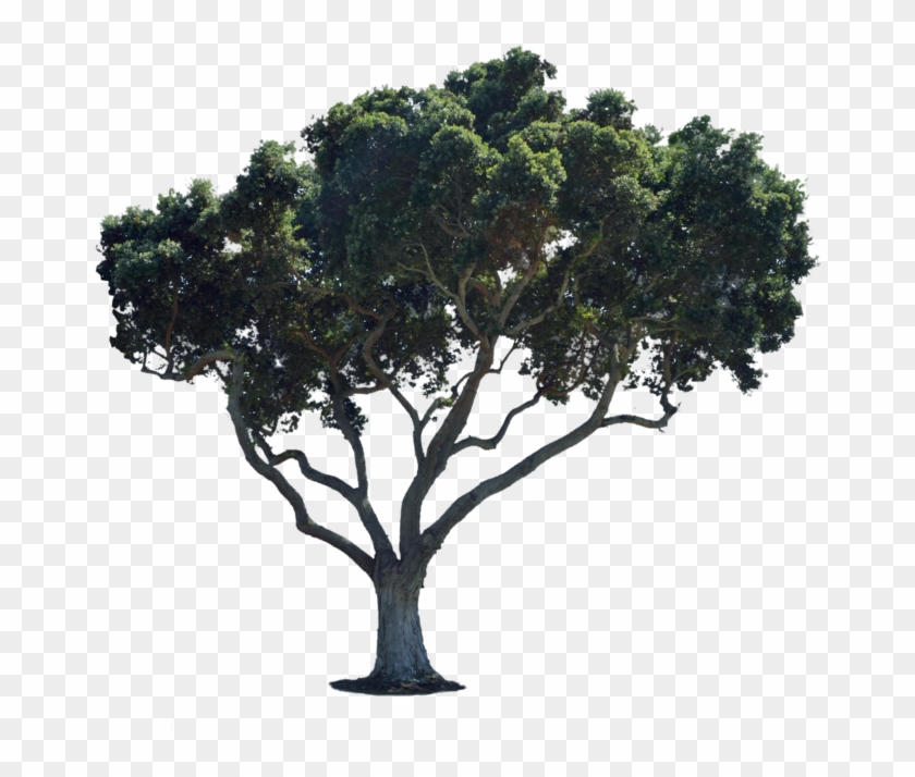 1024 X 678 9 - Street Png For Photoshop Clipart