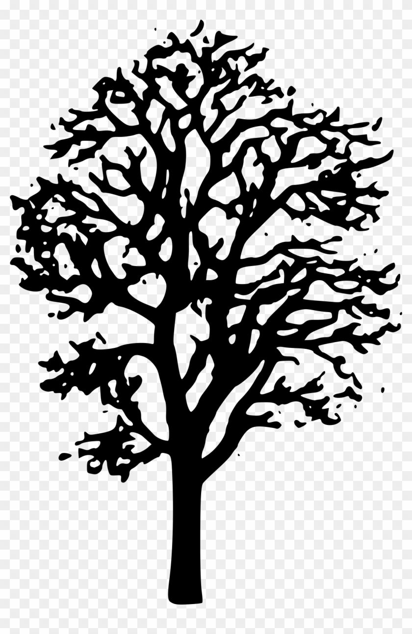 This Free Icons Png Design Of Maple Tree Clipart