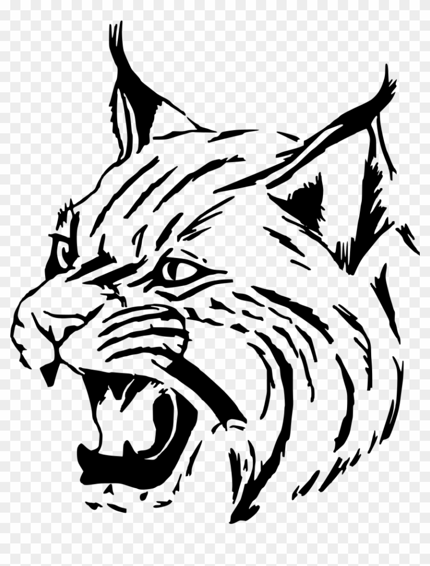 Download Png - Bobcat Face Clip Art Transparent Png #379373