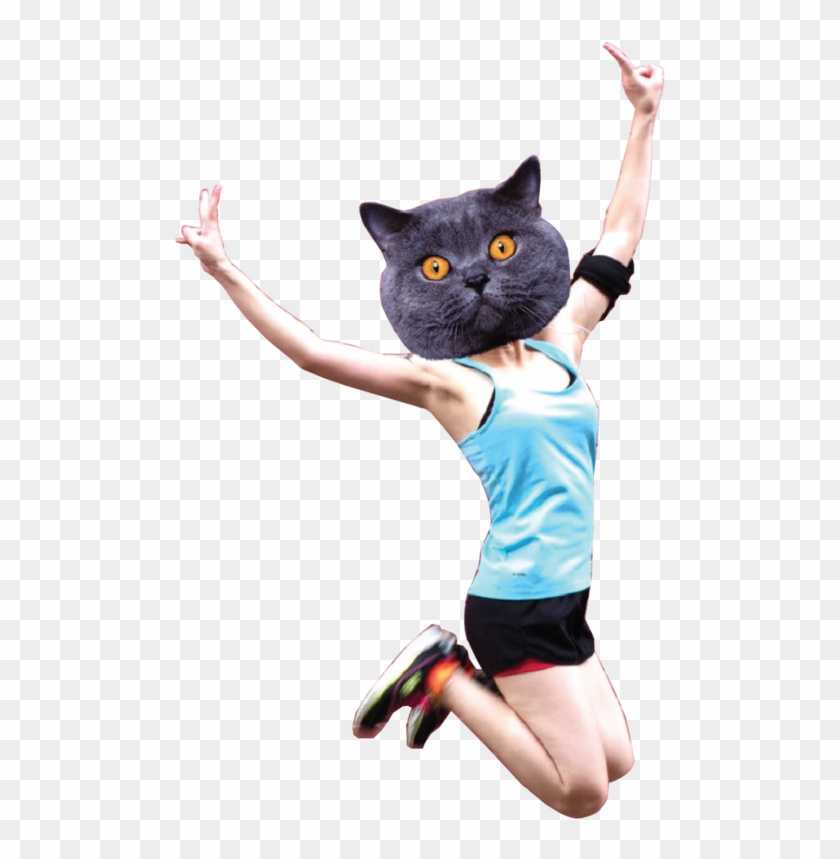 Photo Cathead-png Zpsnl8lxk6v - British Shorthair Clipart