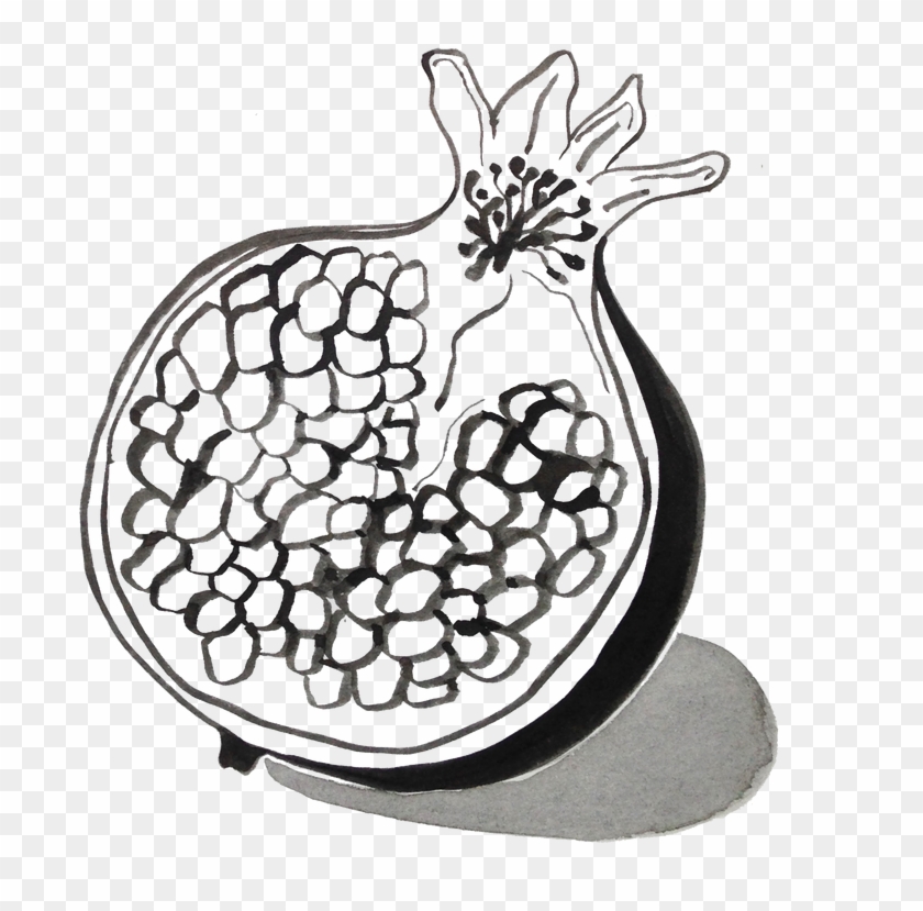 800 X 800 8 - Pomegranate In Black And White Clipart